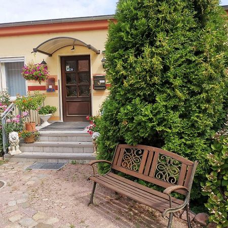 Gaestezimmer Am Gewoelbekeller Meissen Exterior photo